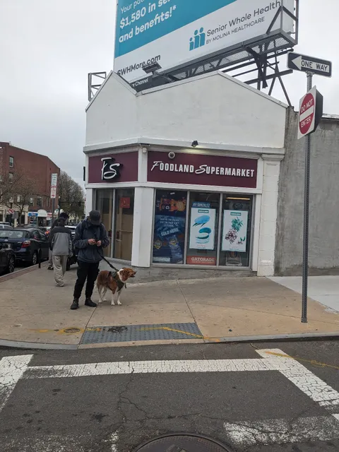 Foodland Supermarket