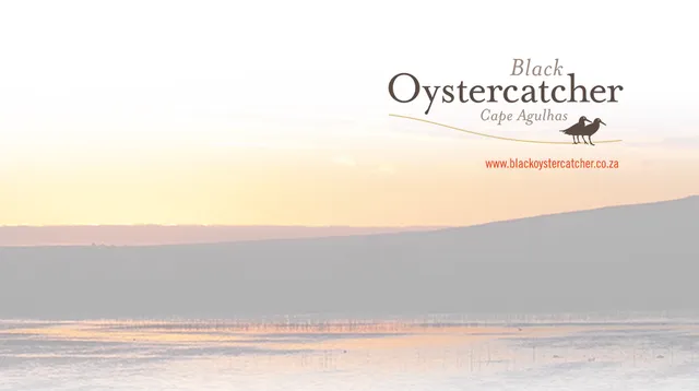 Black Oystercatcher Wines