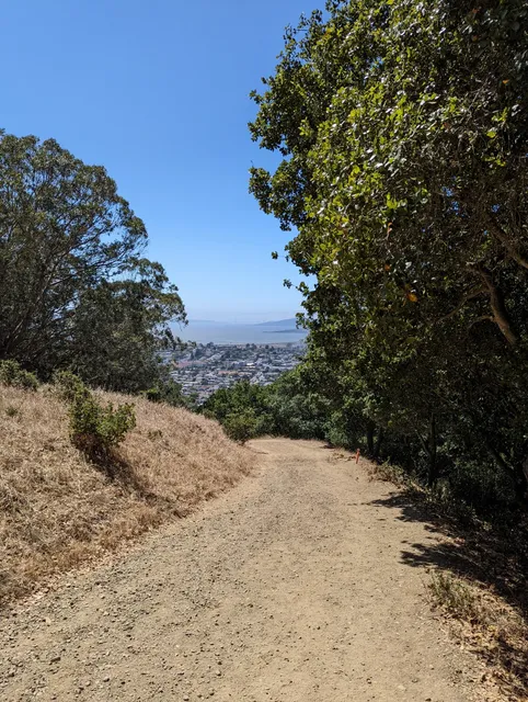 El Cerrito Foundation Memorial Grove