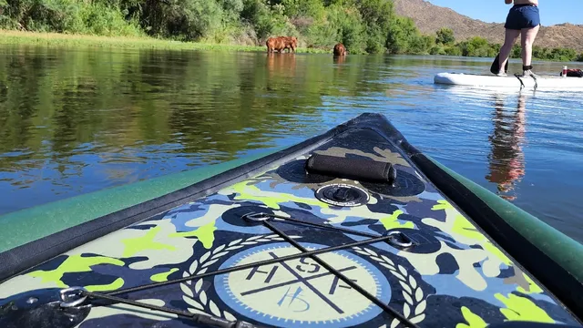 Lower Salt Rentals And Sales