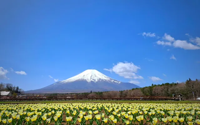 Hana-no-miyako Park Furara