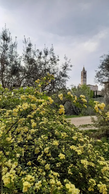 LA CASA DI FAMIGLIA - www.assisifamilyhome.it