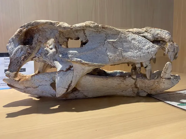 Museu de Paleontologia de Fernandópolis