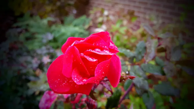 East Lyme Community Center