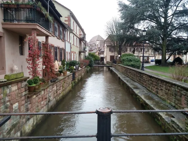 Lauter-Viertel Le Schlupf