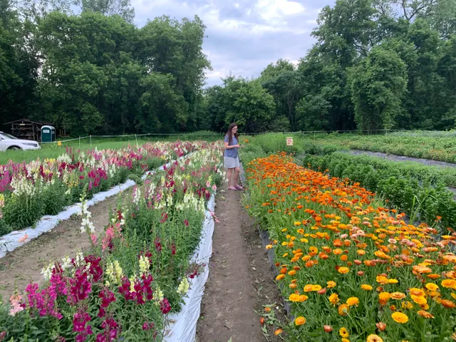 Intervale Community Farm