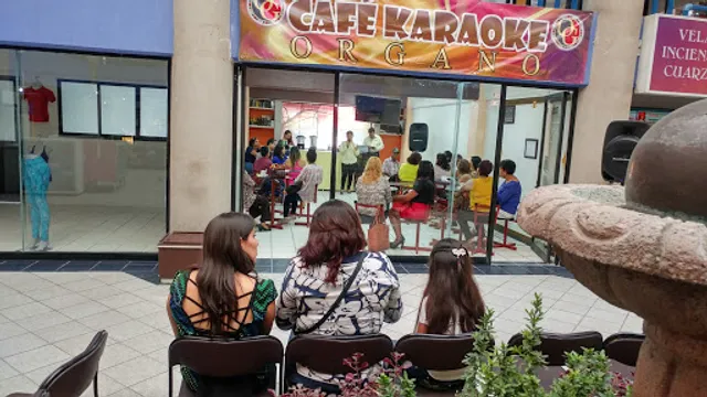 CAFÉ KARAOKE ORGÁNICO, CENTRO COMERCIAL PLAZA.