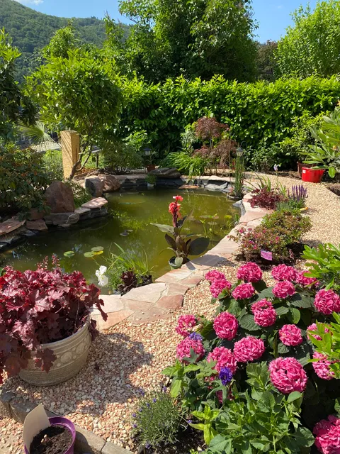 Pension mit Moselblick