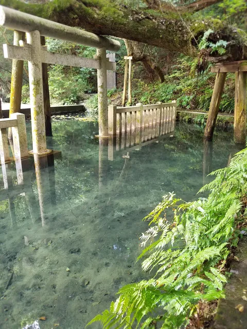 Mitarashi Pond