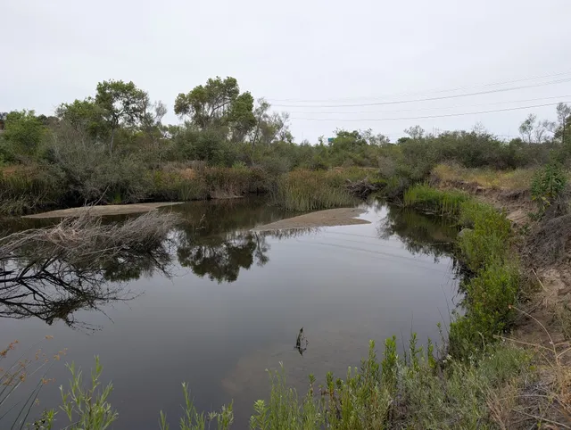 Mission Valley Preserve