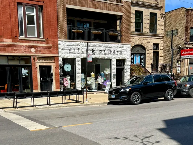 Alice & Wonder - Webster