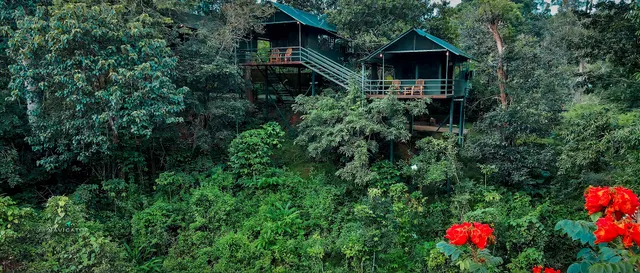 WAYANAD WILDLIFE RESORT