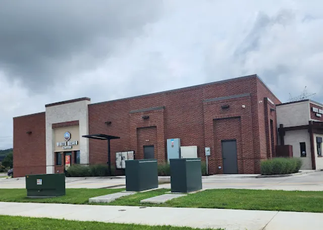 White Bison Coffee/ Shell