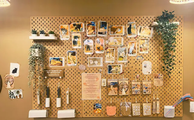 Sinchon CAT CAFE Cat’s Loft