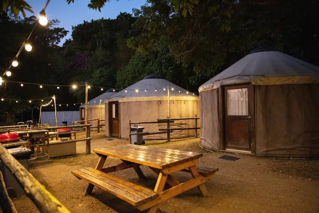 Saiyuen Camping Adventure Park