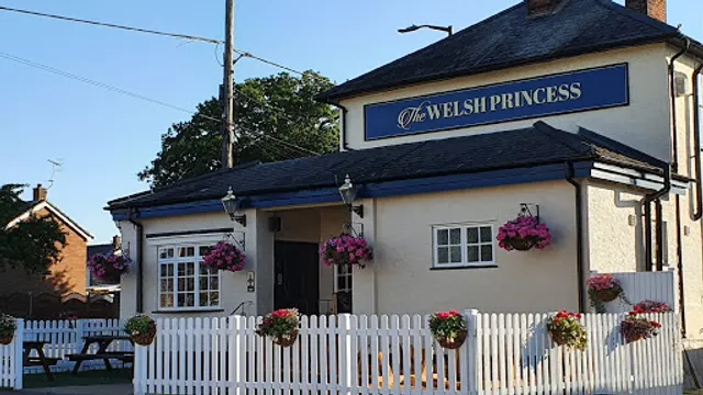 The Welsh Princess