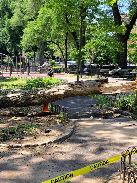 Lt. William Tighe Triangle