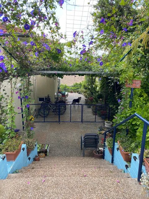 המקום של אמי Emmy’s Place