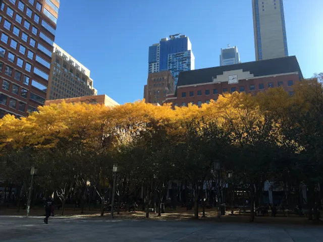 New York University Tandon School of Engineering