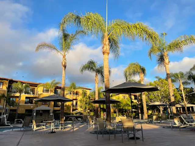 The Cove Bar & Grill