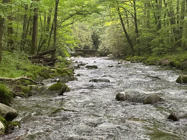 Bradley Fork Trailhead