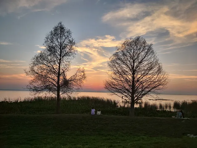 Lake Apopka boat launching ramp