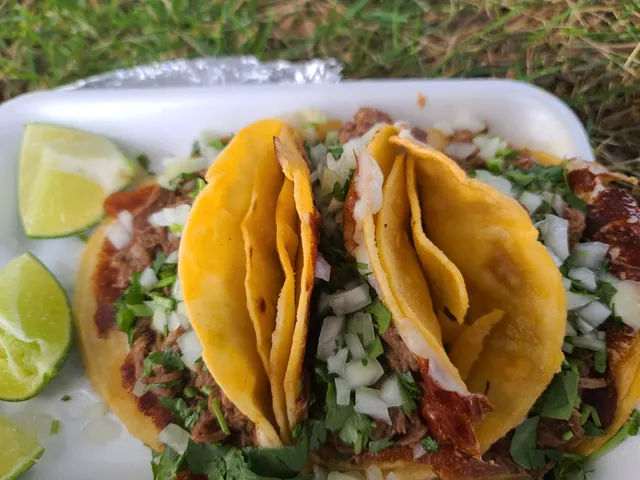 La Unica Birria De Res