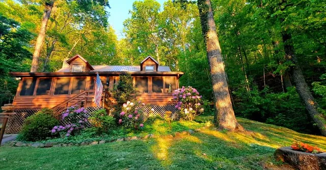 The Mountain Forager Cabin