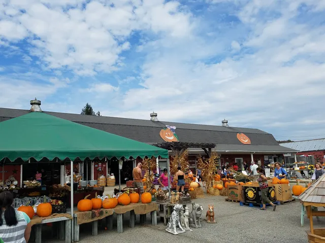 Ideal Farm and Garden Centre