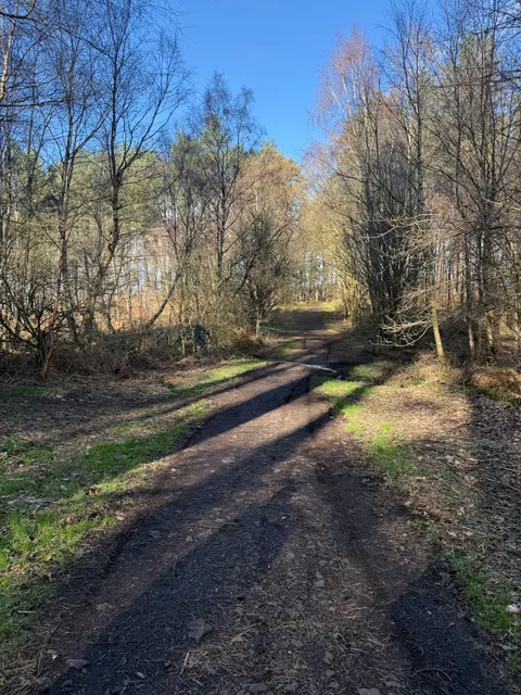 Delamere Forest Visitor Centre