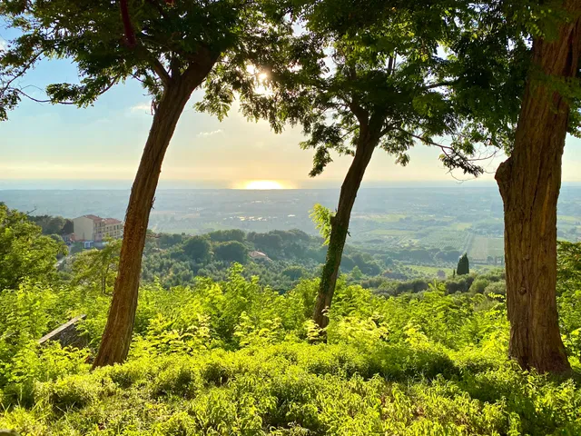 L'Etrusco Fazzari Giuseppe