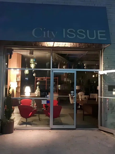 City Issue