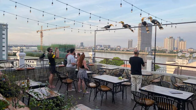 Pooltop​​ Phnom Penh