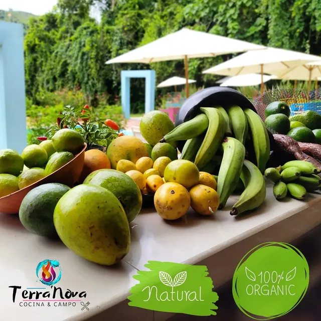 TerraNova Cocina & Campo