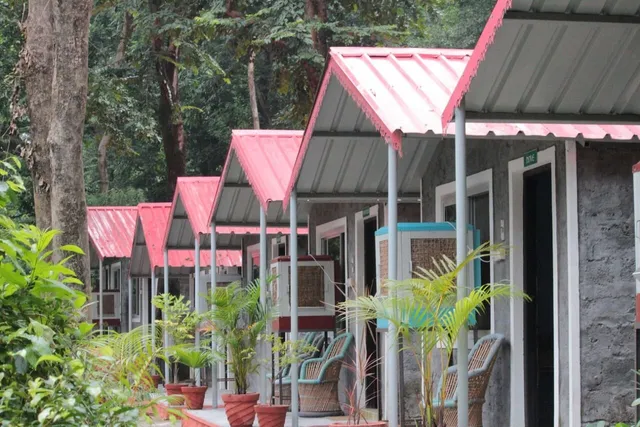 BIRDS (the jungle retreat) rishikesh resort/camp
