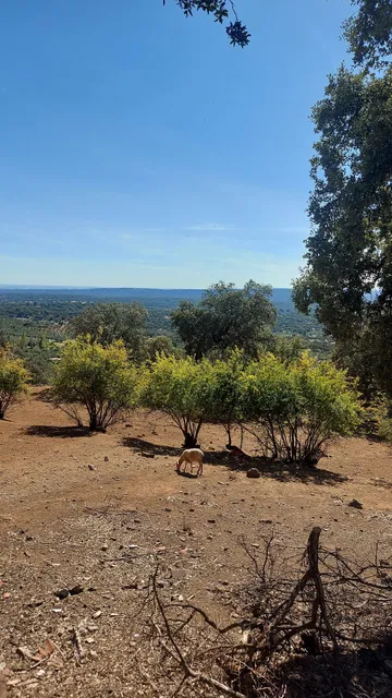 Casa Rural "La Lima"