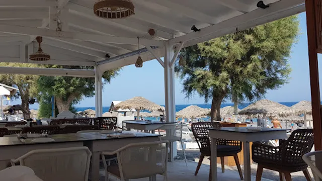 Mango restaurant bar