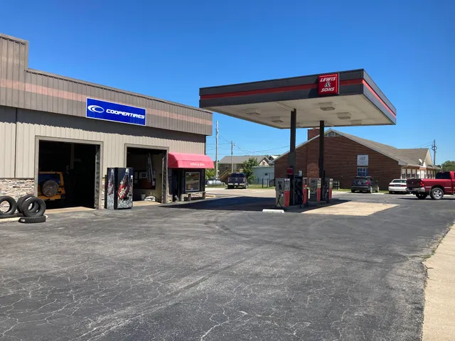 Lewis & Sons Service