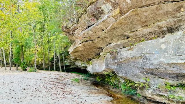 Dawson Springs beach