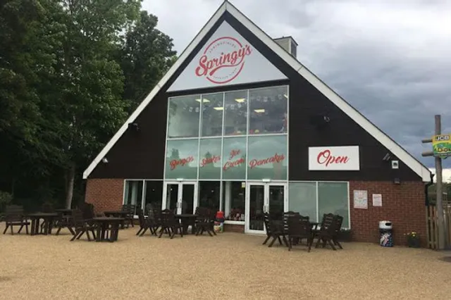 Springy's American Diner