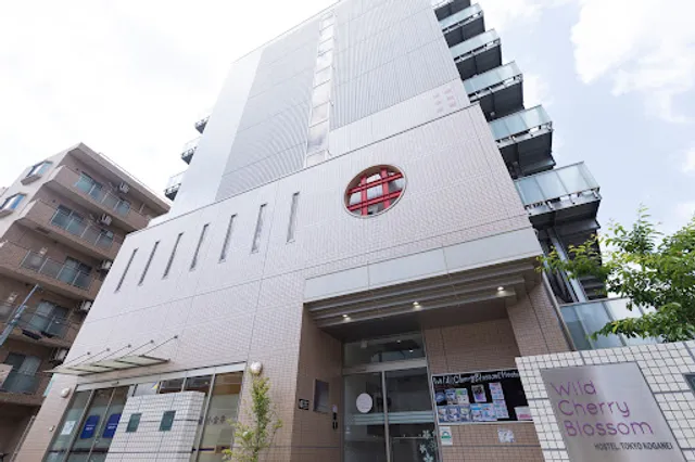 Wild Cherry Blossom - HOSTEL, TOKYO KOGANEI -