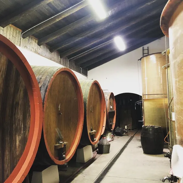 GranCollina Cantina-Agriturismo-Area Camper