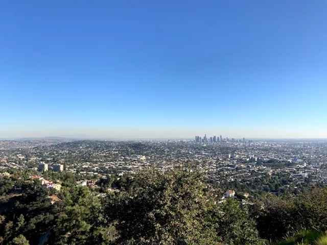 Friends Of The Observatory