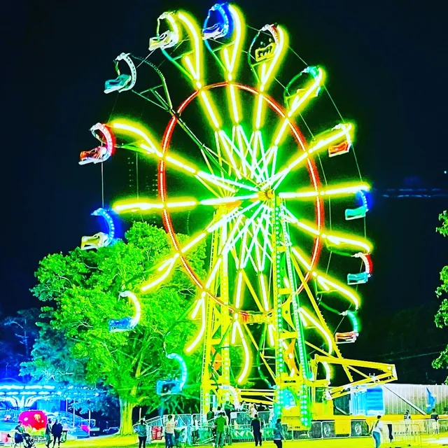 The Great Anderson County Fair