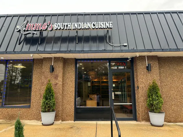 Amma's South Indian Cuisine (TO-GO)