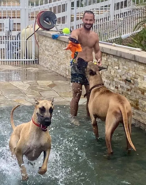 Briarcliff Pet Resort