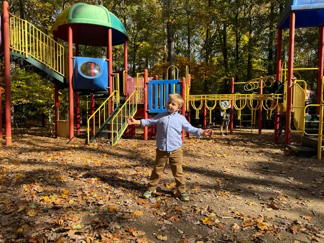 Burke Lake Park playground