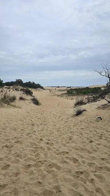 Tallest Sand Dune