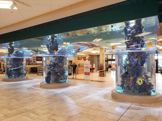 Scheels' Aquarium