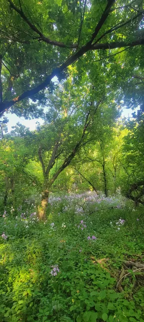 Michigan Sugar Trails